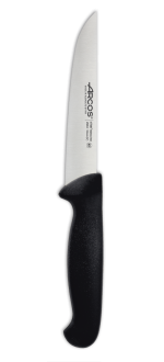 Kitchen Knife 2900 Series